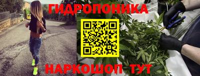 дмт Новодвинск
