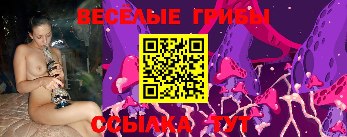 Псилоцибиновые грибы MAGIC MUSHROOMS Верхняя Пышма